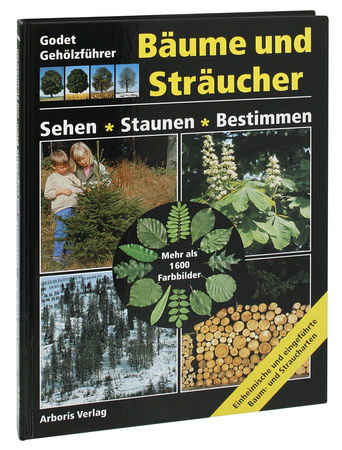 Bäume und Sträucher