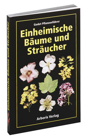 Einheimische Bäume