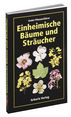 Einheimische Bäume